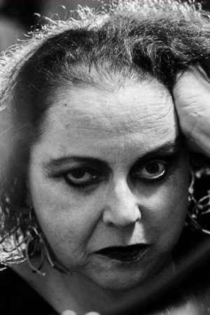 Cida Moreira backdrop