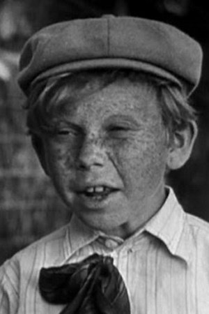 Donald Haines backdrop