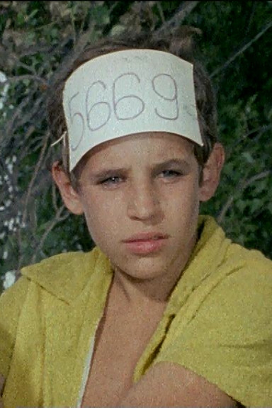 Péter Müller backdrop