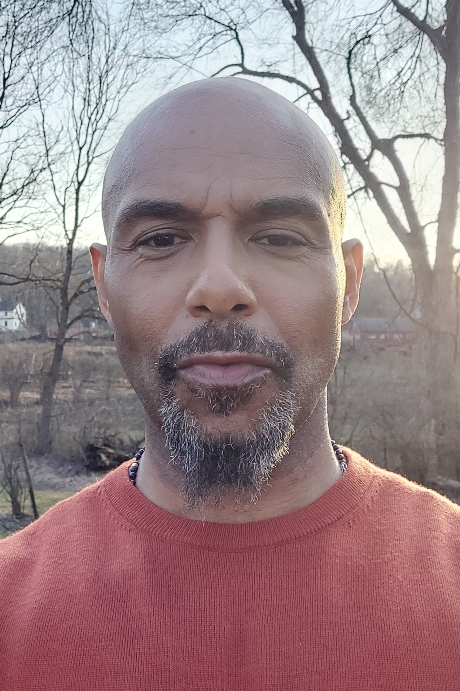 Fidel Vicioso backdrop