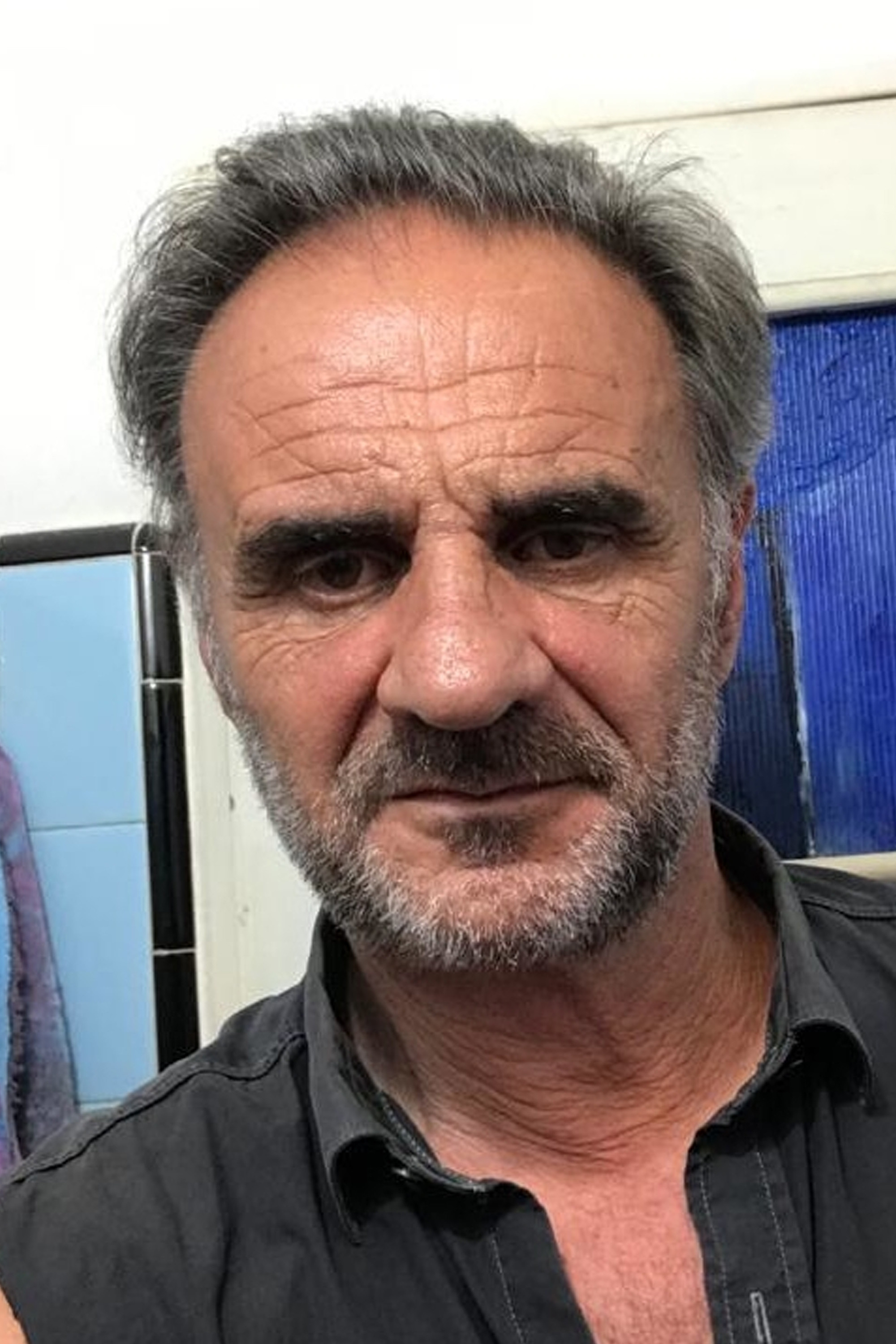 Daniel Di Biase backdrop