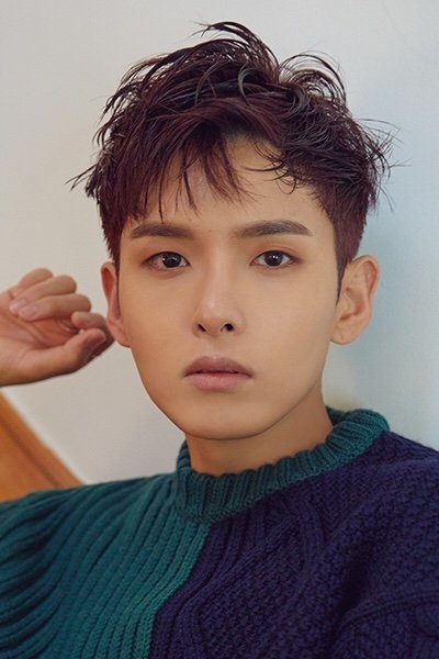 Ryeowook backdrop