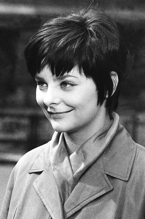 Ilona Béres backdrop