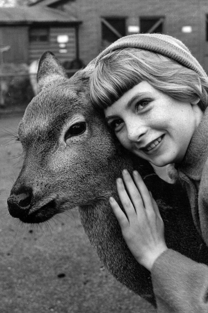 Jacqueline Ryan backdrop