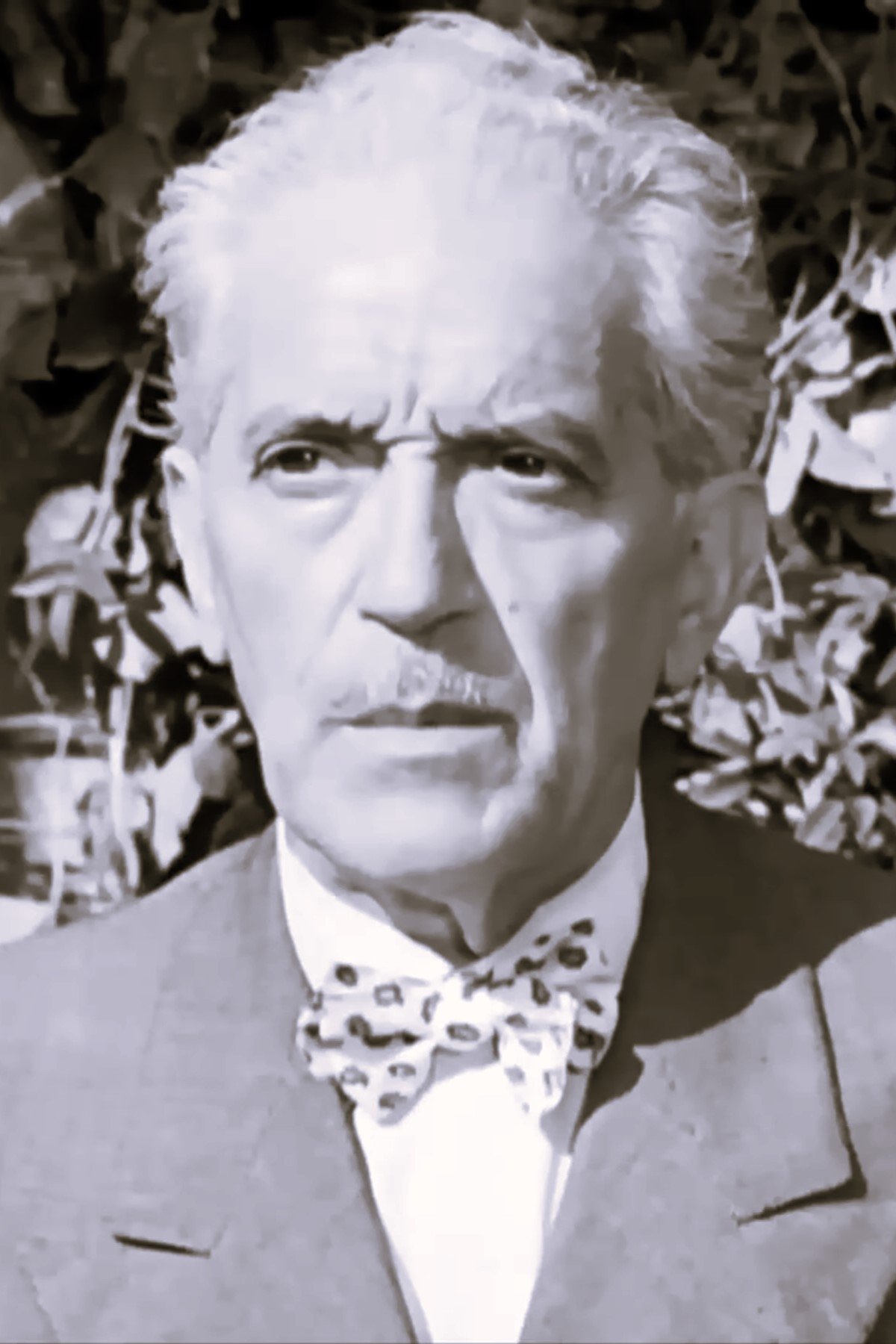 Raimondo Van Riel backdrop