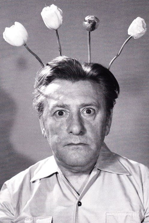 Louis Paul Boon backdrop