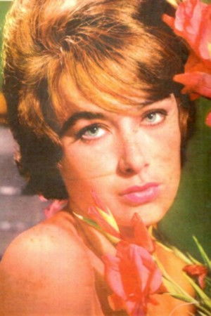 Elizabeth Gasper backdrop