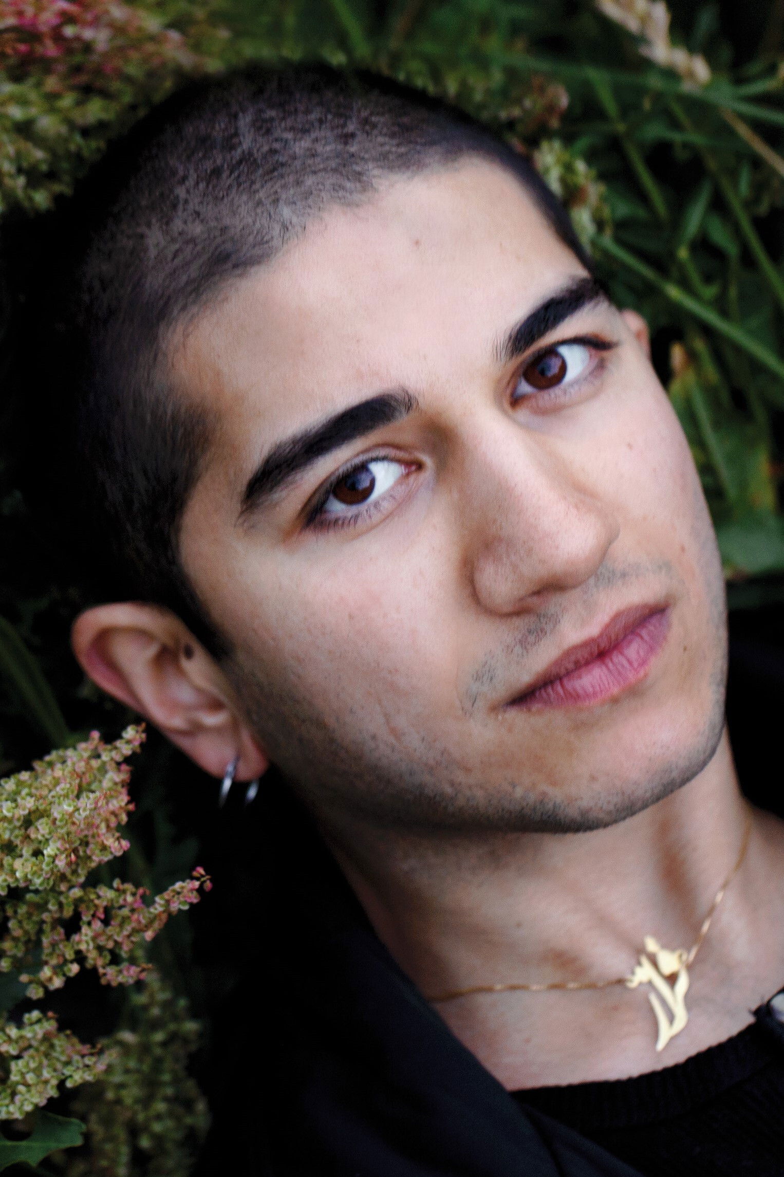 Faraz Shariat backdrop