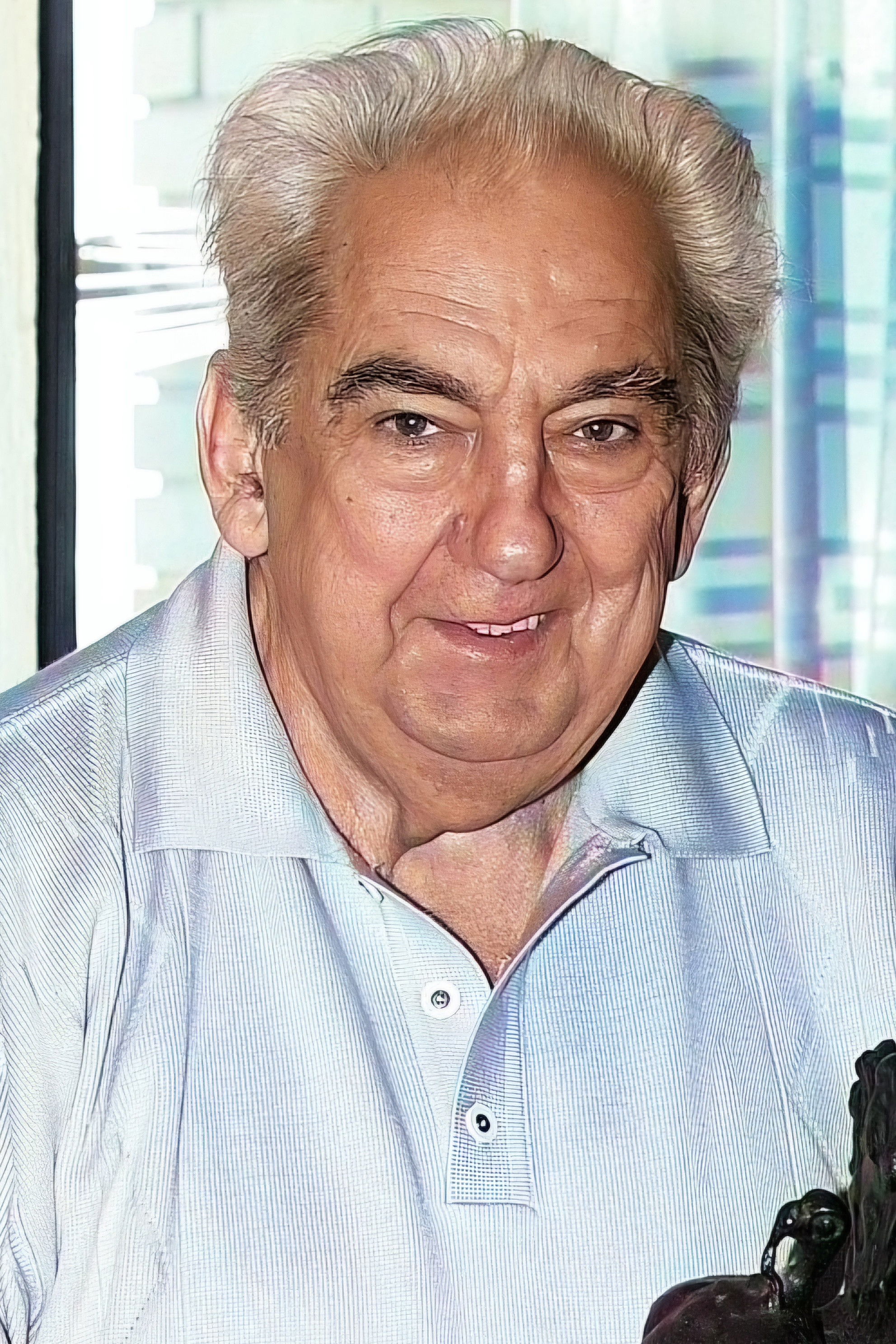 Ljubomir Ubavkić backdrop