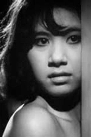 Miharu Shima backdrop