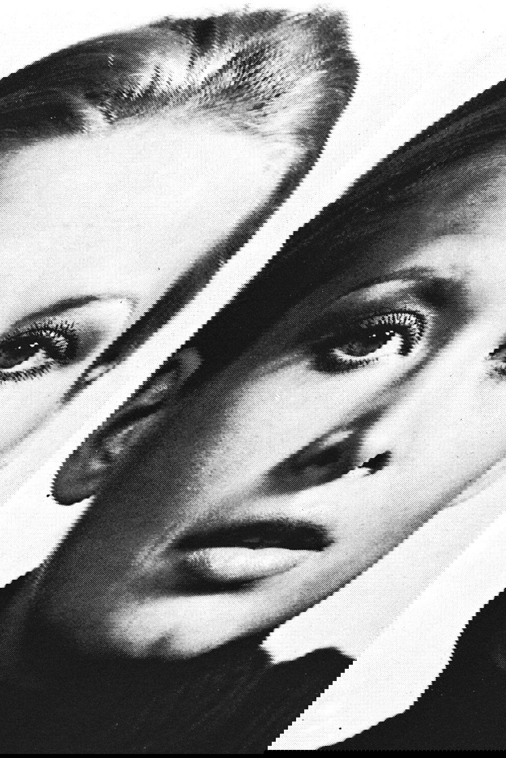 Sylvia Manas backdrop