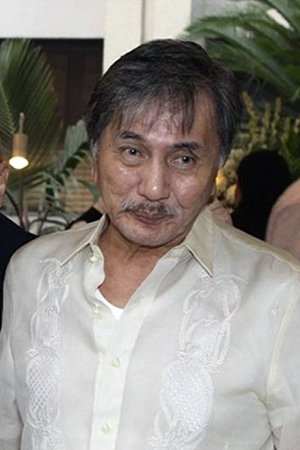 Danny L. Zialcita backdrop