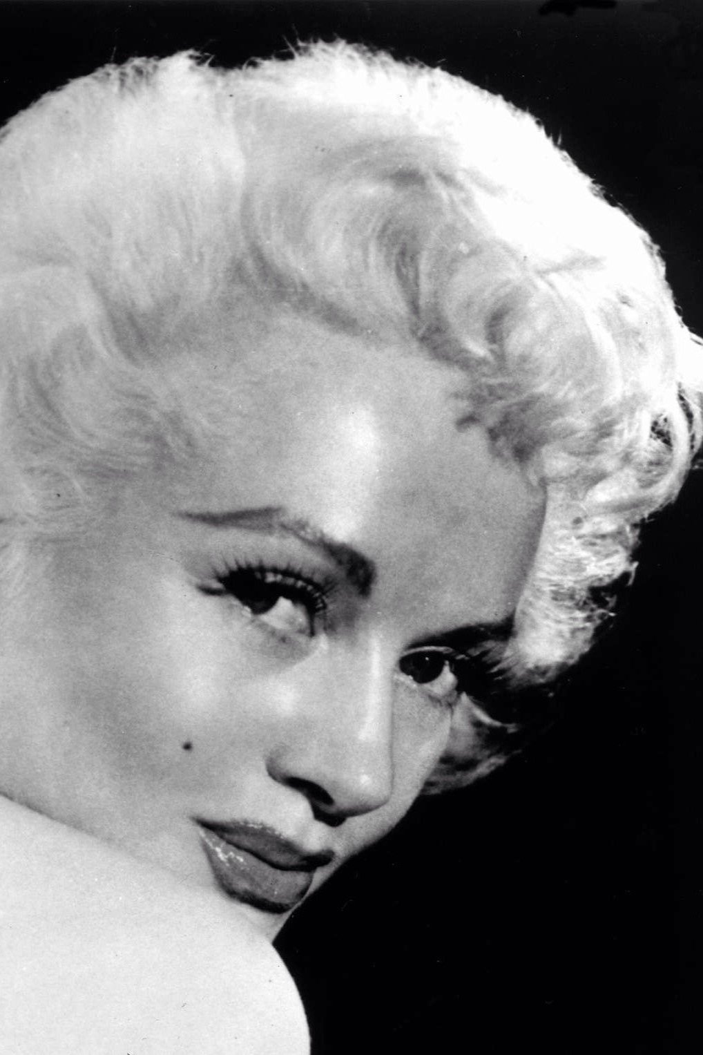 Diksi Evens backdrop