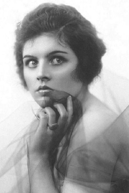 Elaine Hammerstein backdrop