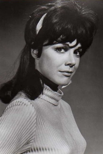 Dodie Marshall backdrop