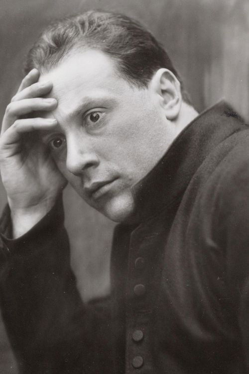 Willem van der Veer backdrop