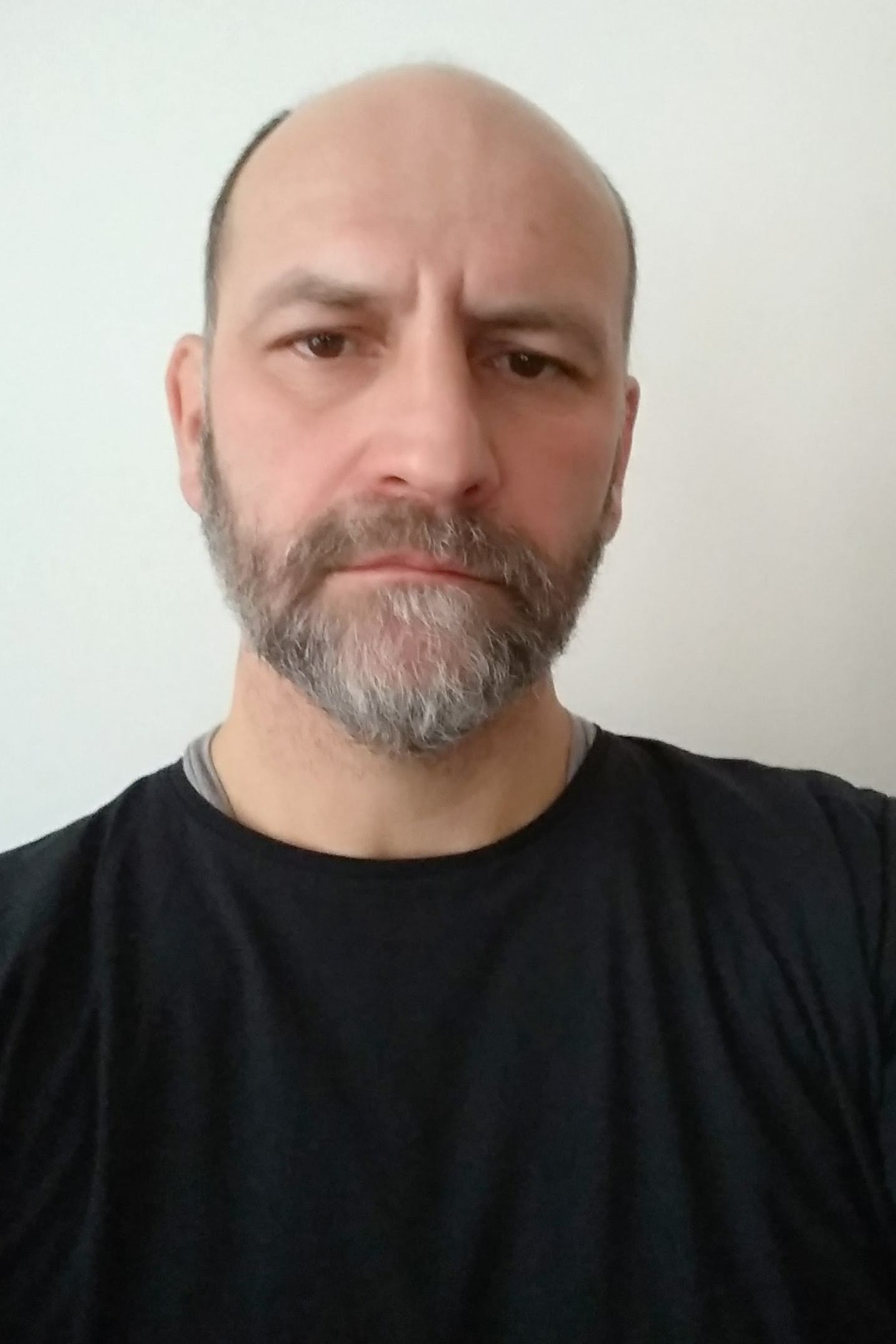 Zsolt Páll backdrop