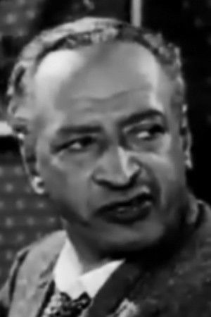 Stavros Iatridis backdrop