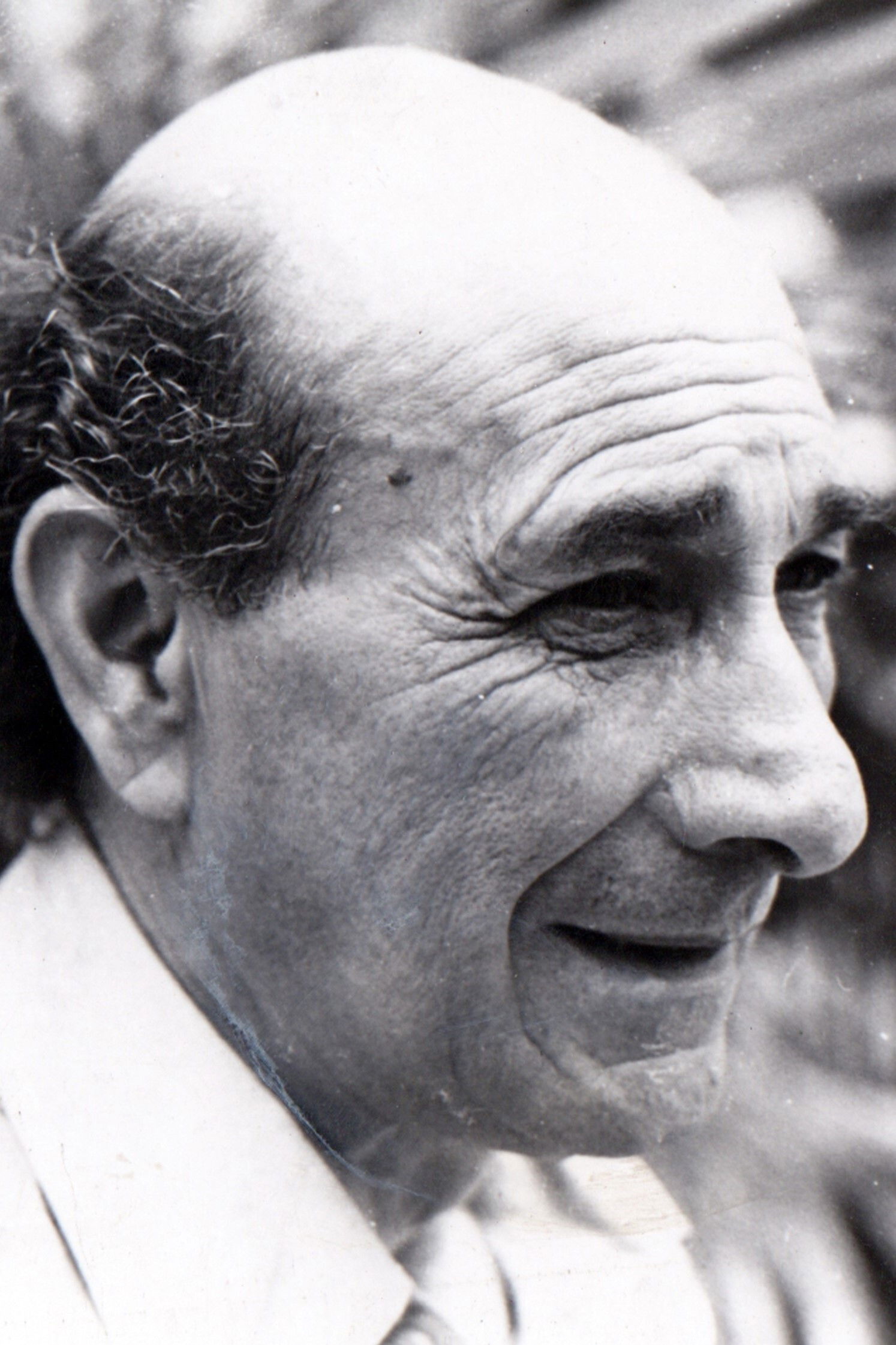 Luis Cornejo backdrop