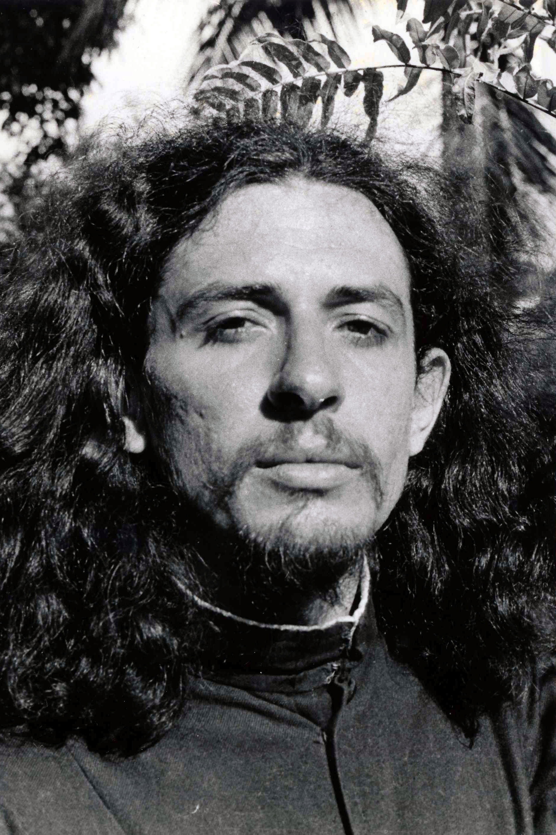 Torquato Neto backdrop