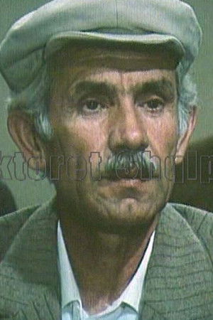 Petraq Xhillari backdrop