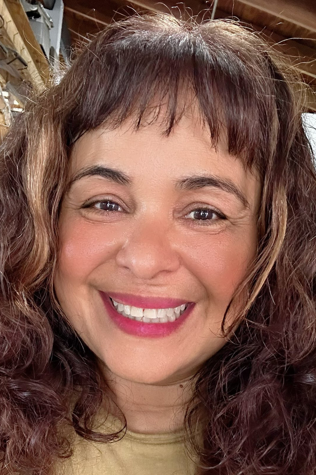 Anamín Santiago backdrop