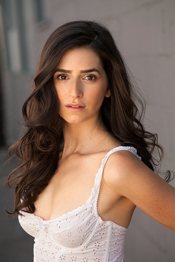 Sarah Himadeh backdrop