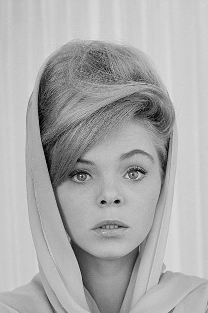 Jenny Maxwell backdrop