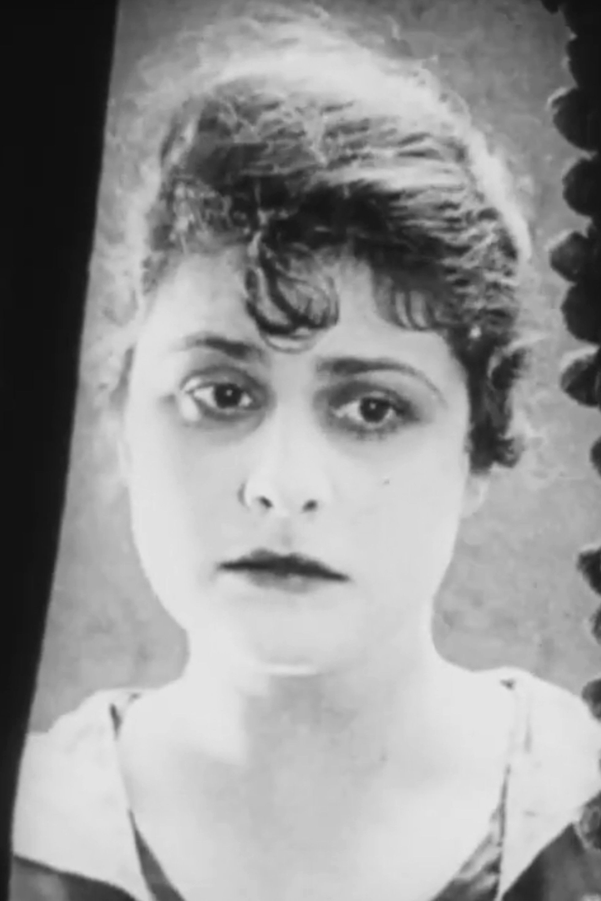 Lyn Donelson backdrop