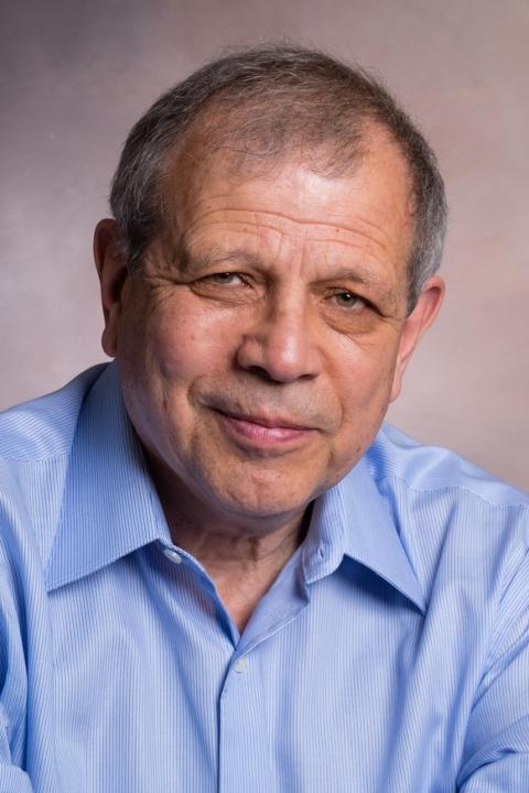 Yefim Somin backdrop