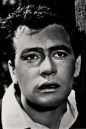 Vasile Ichim backdrop