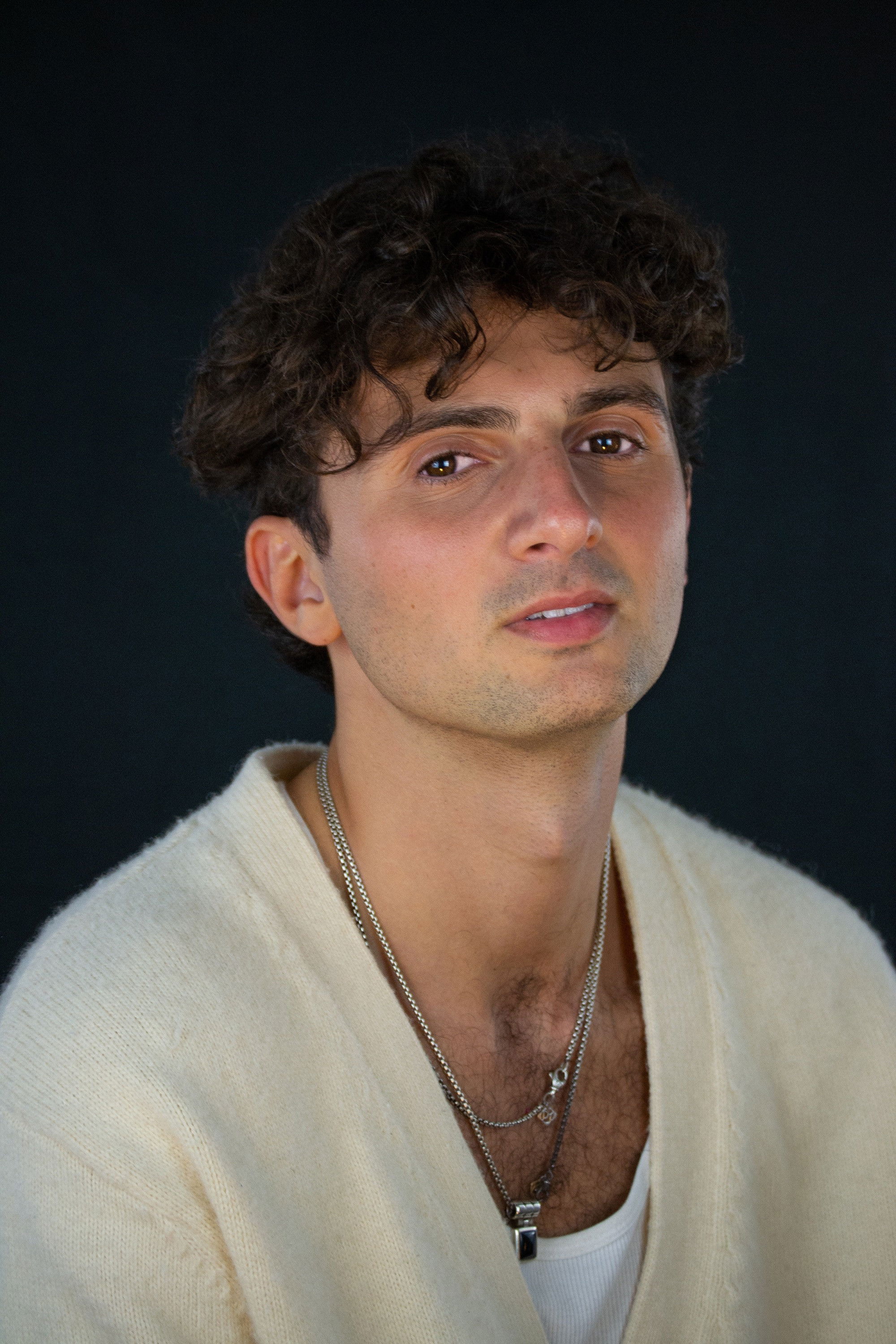 Jacob Lawrence Kreiss backdrop