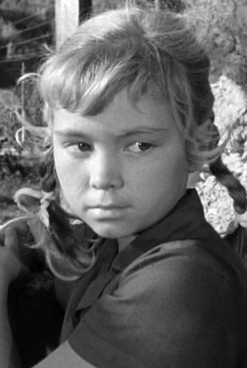 Lida Volkova backdrop