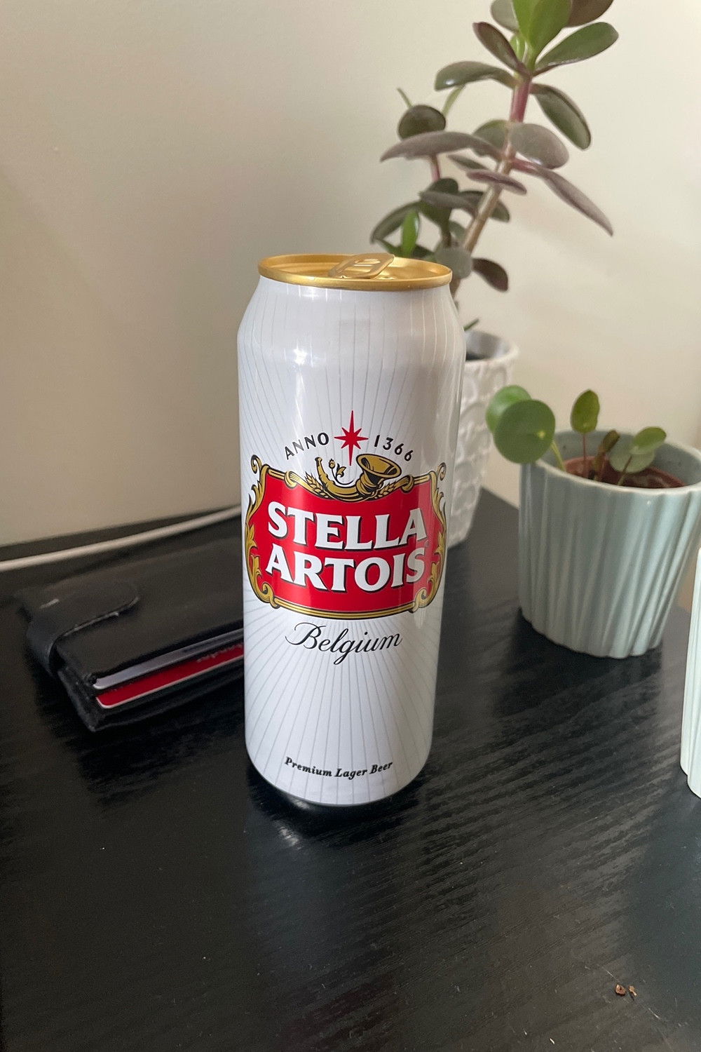 Stella Artois backdrop