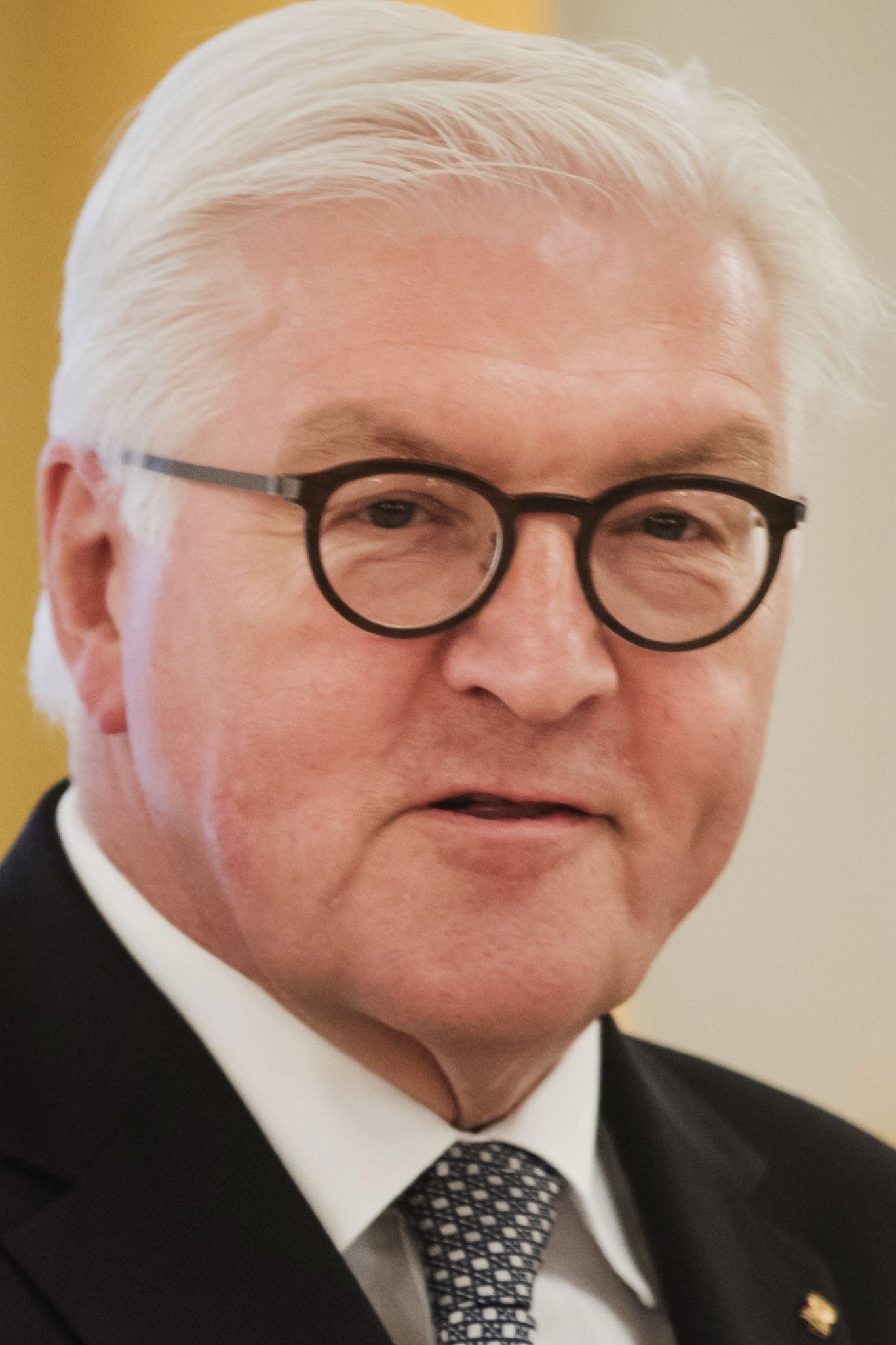 Frank-Walter Steinmeier backdrop