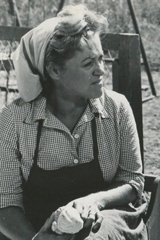 Zipora Peled backdrop