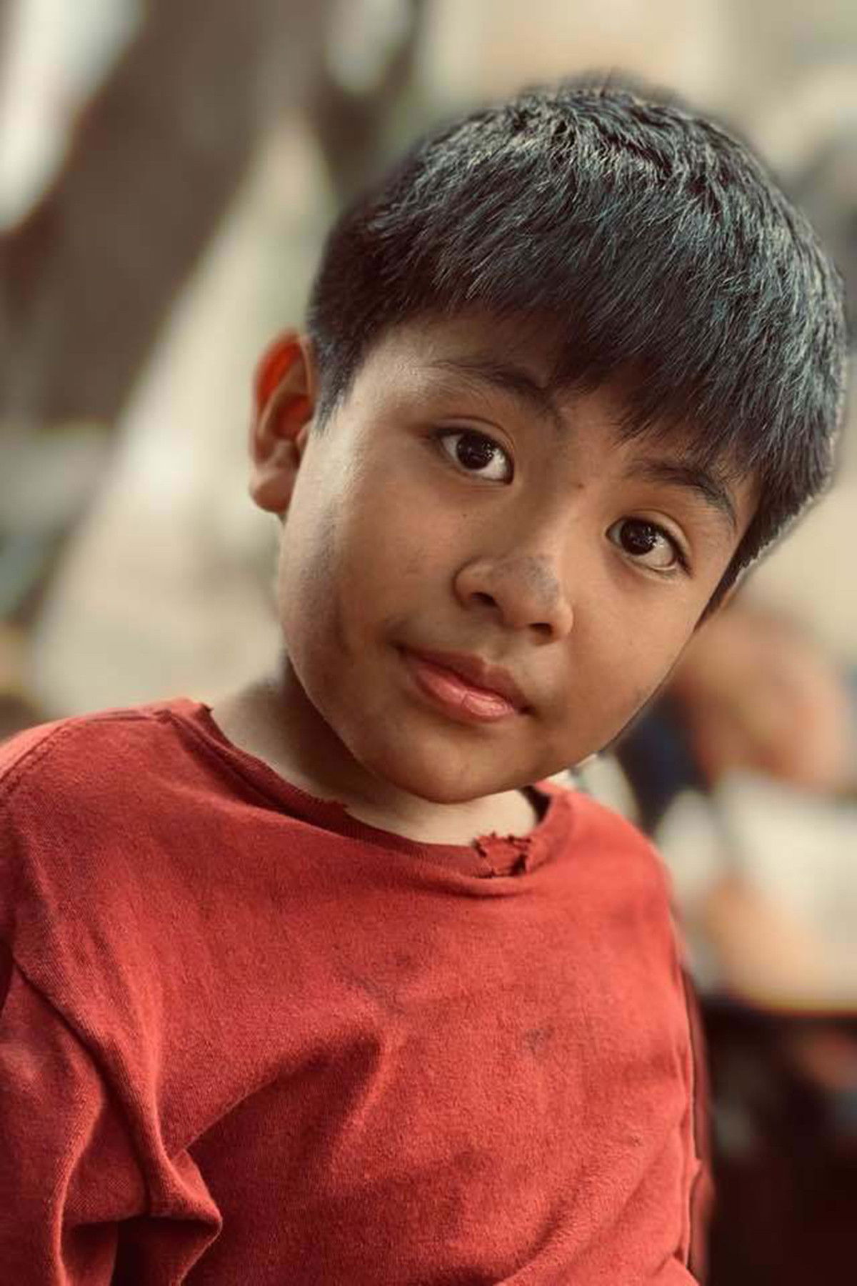 Phạm Duy Anh backdrop