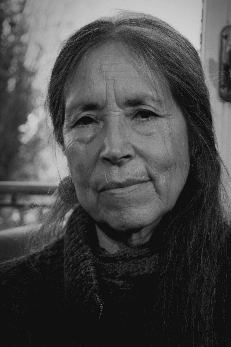 Cecilia Vicuña backdrop