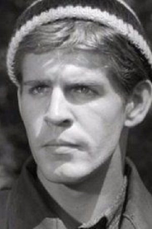 Don Borisenko backdrop