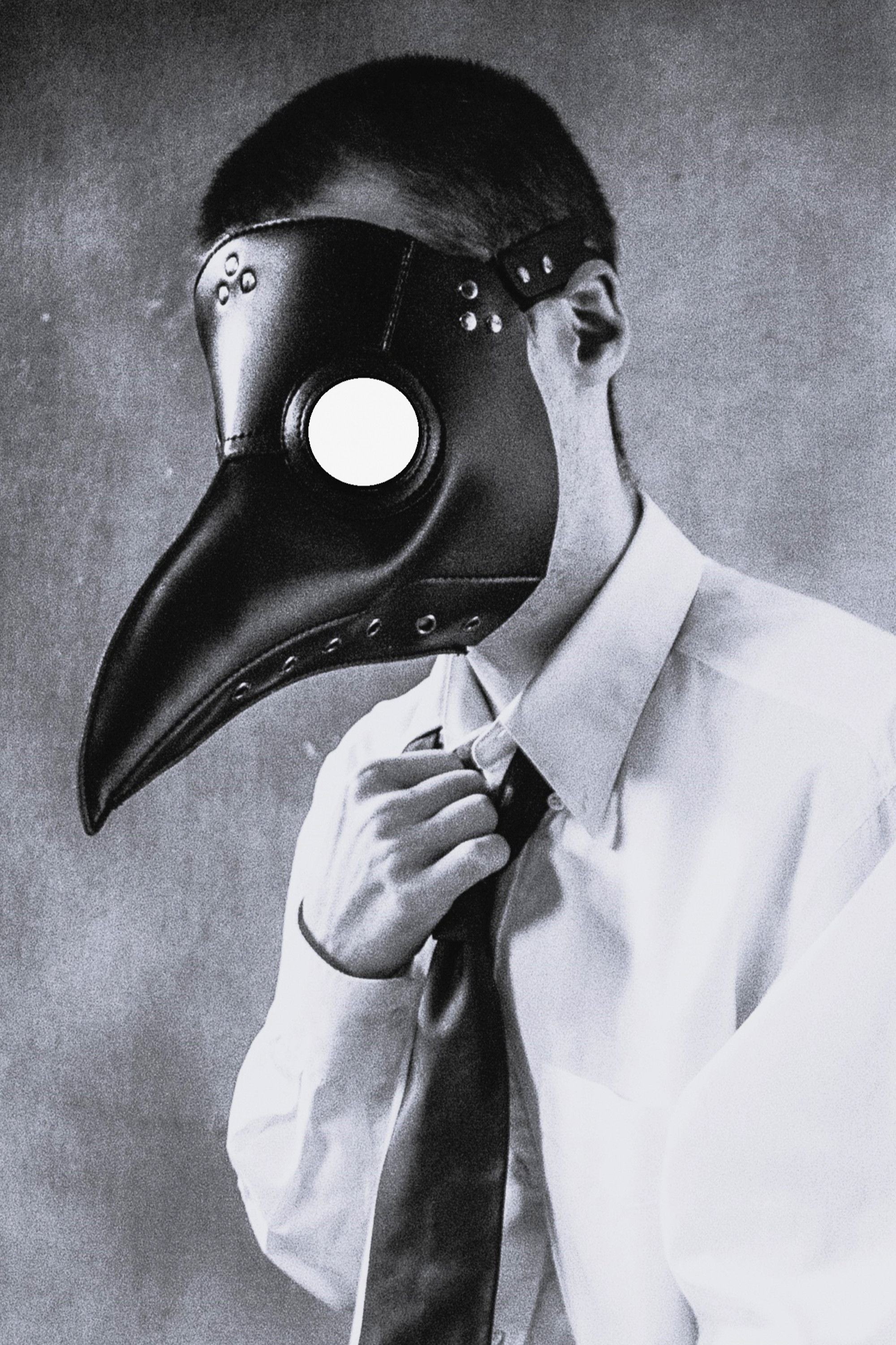 Finn Callan backdrop