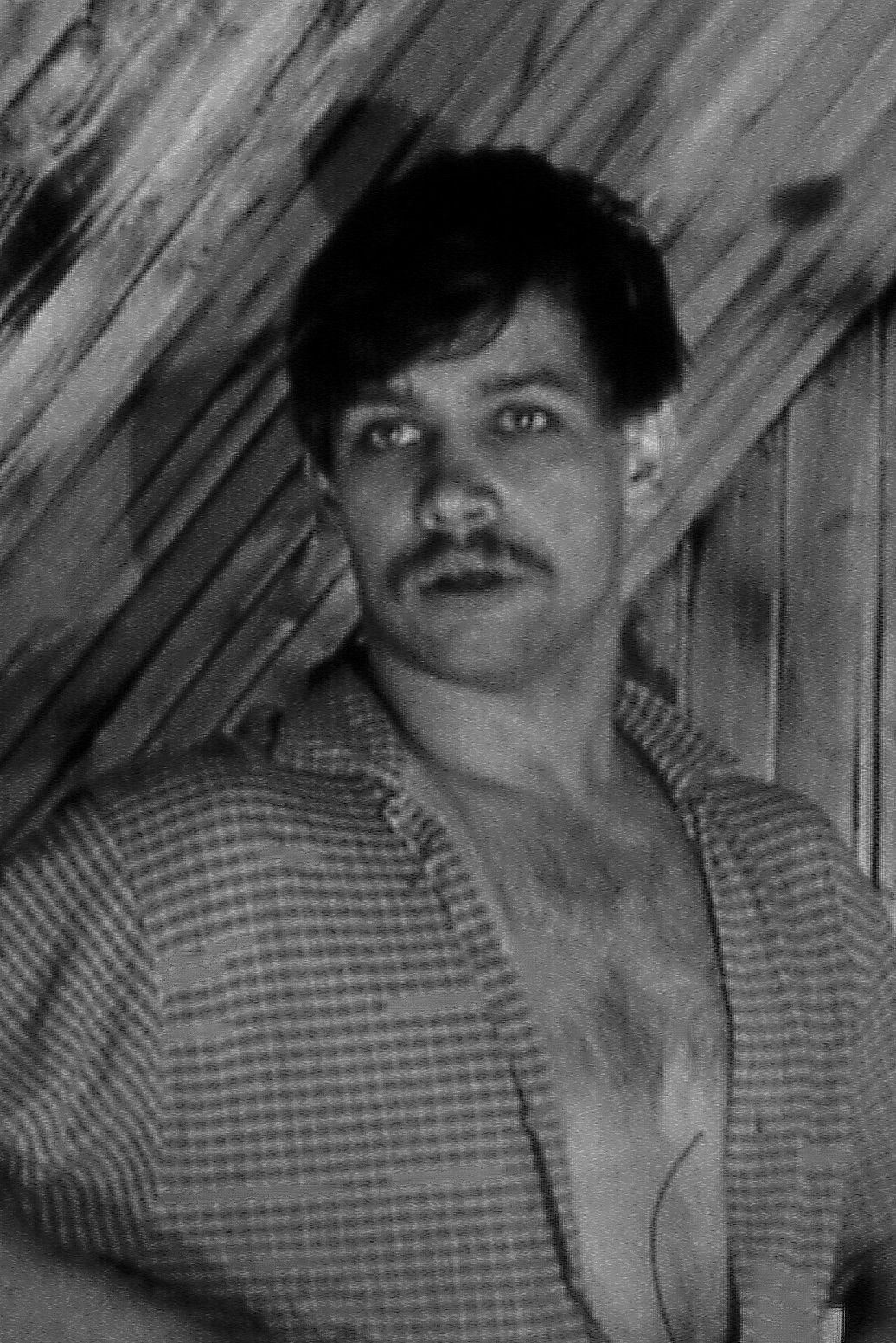 Dmitriy Shibanov backdrop