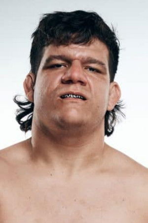 Dominic Garrini backdrop