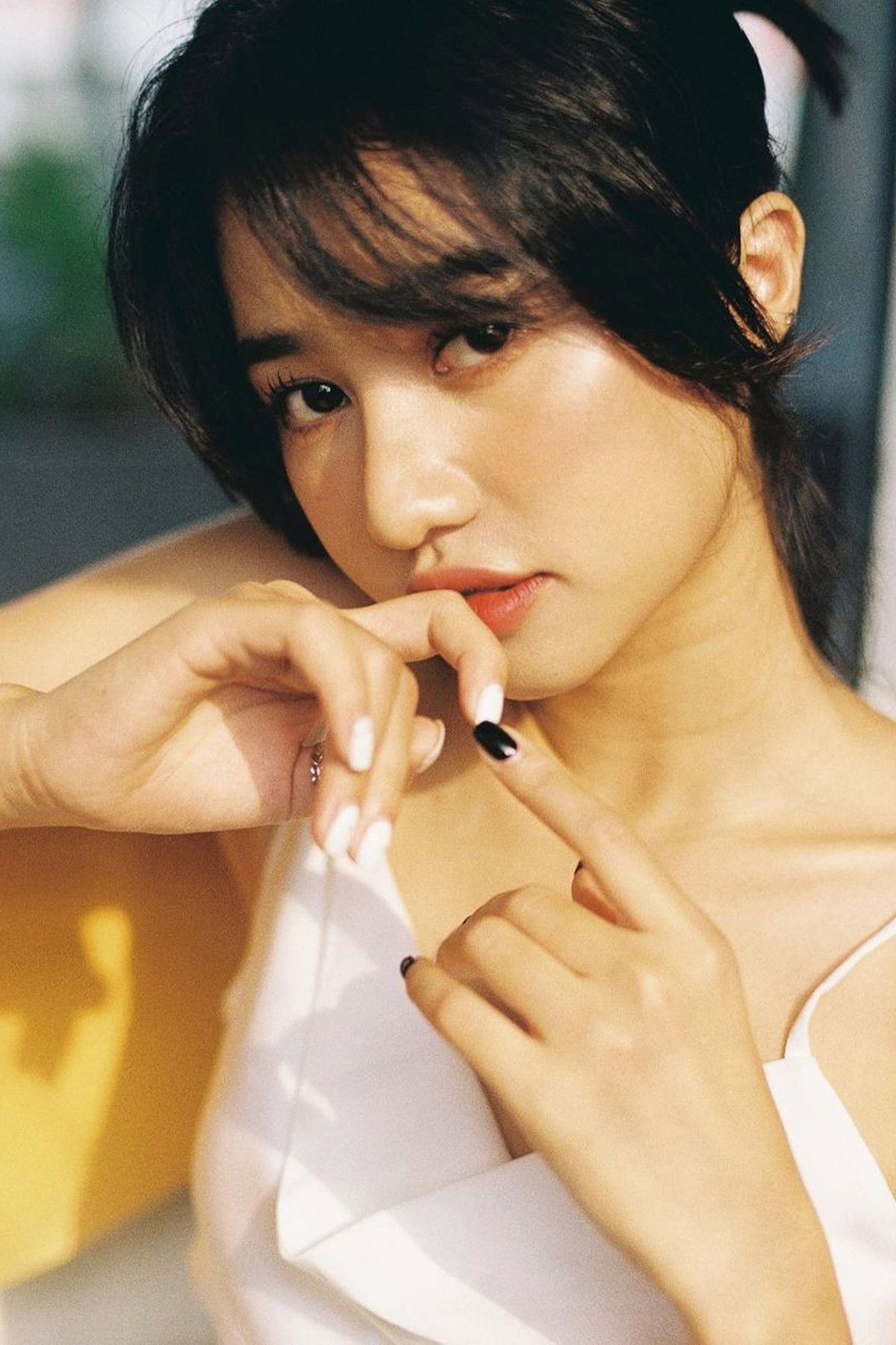 Trịnh Thảo backdrop