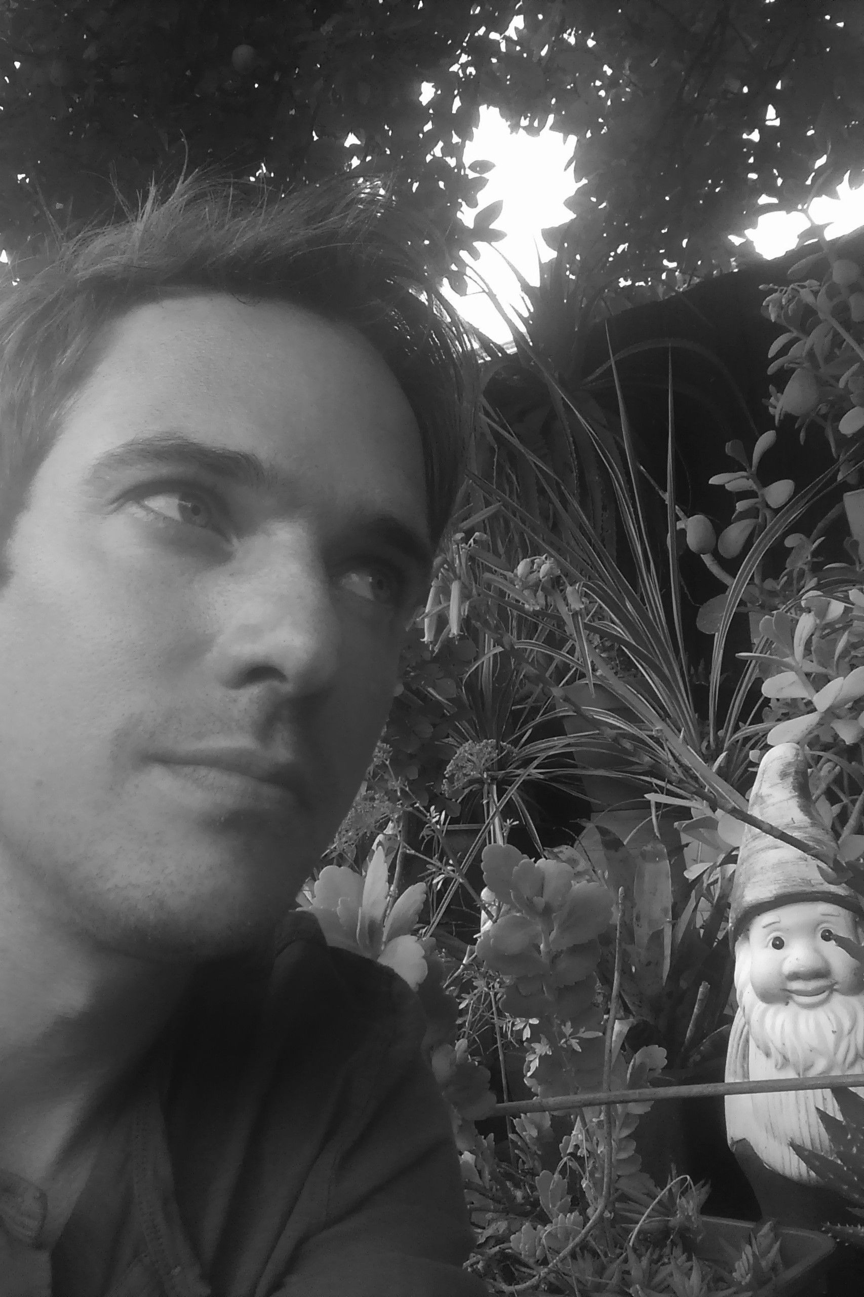 Kyle Faulkner backdrop