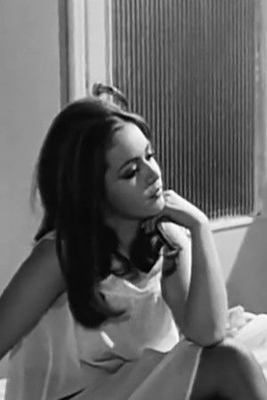 Miranta Morali backdrop