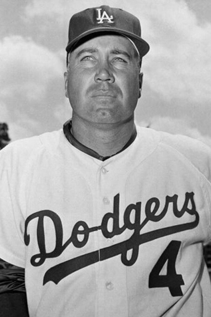 Duke Snider backdrop