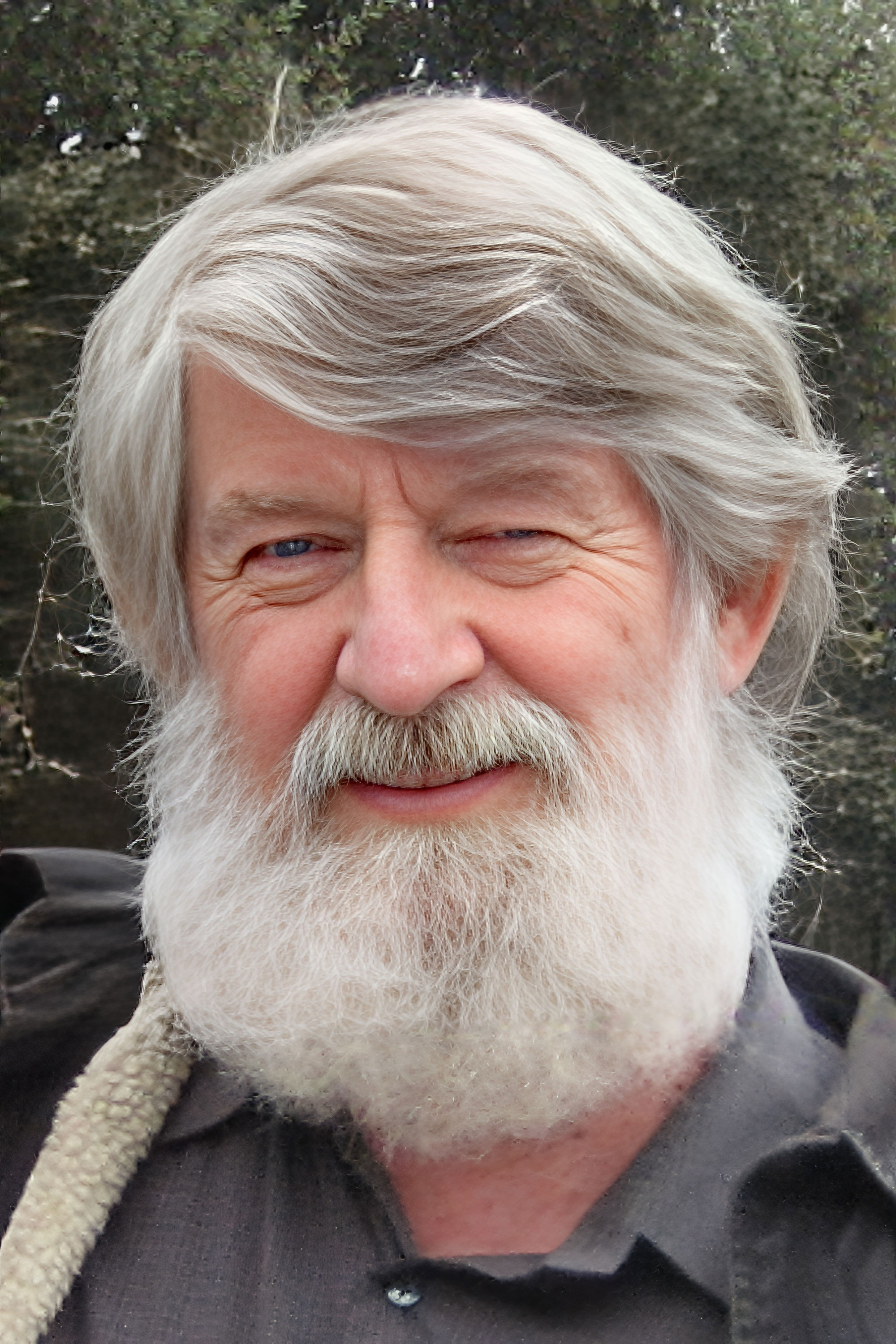 David Chandler M.S. backdrop