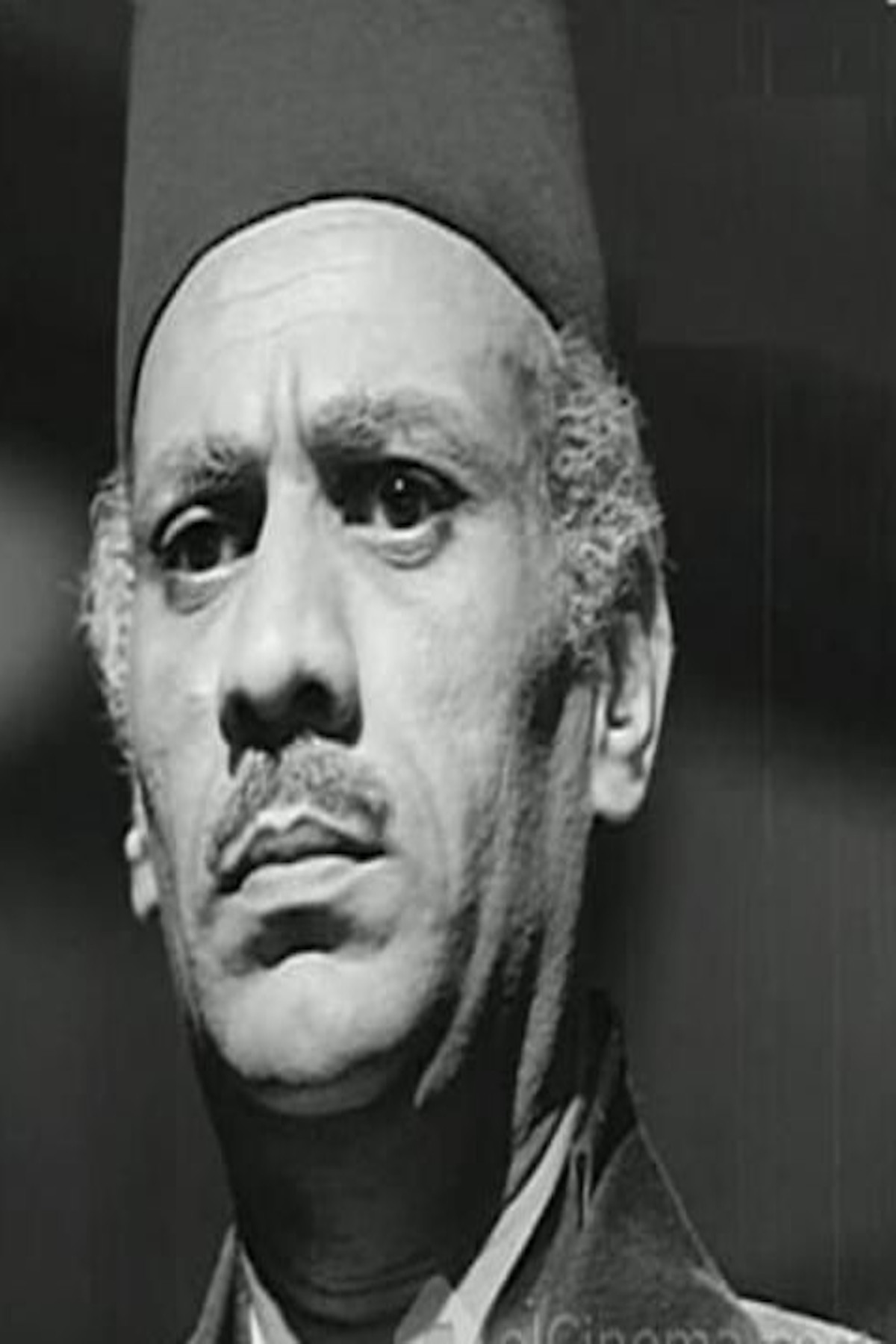 Fawzy Darwish backdrop