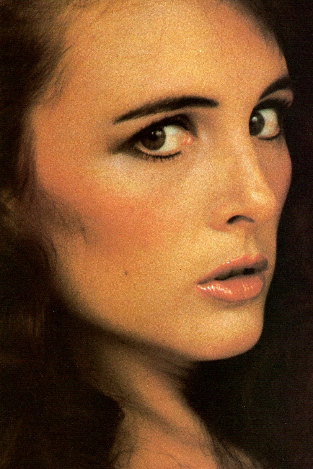 Laurie Smith backdrop