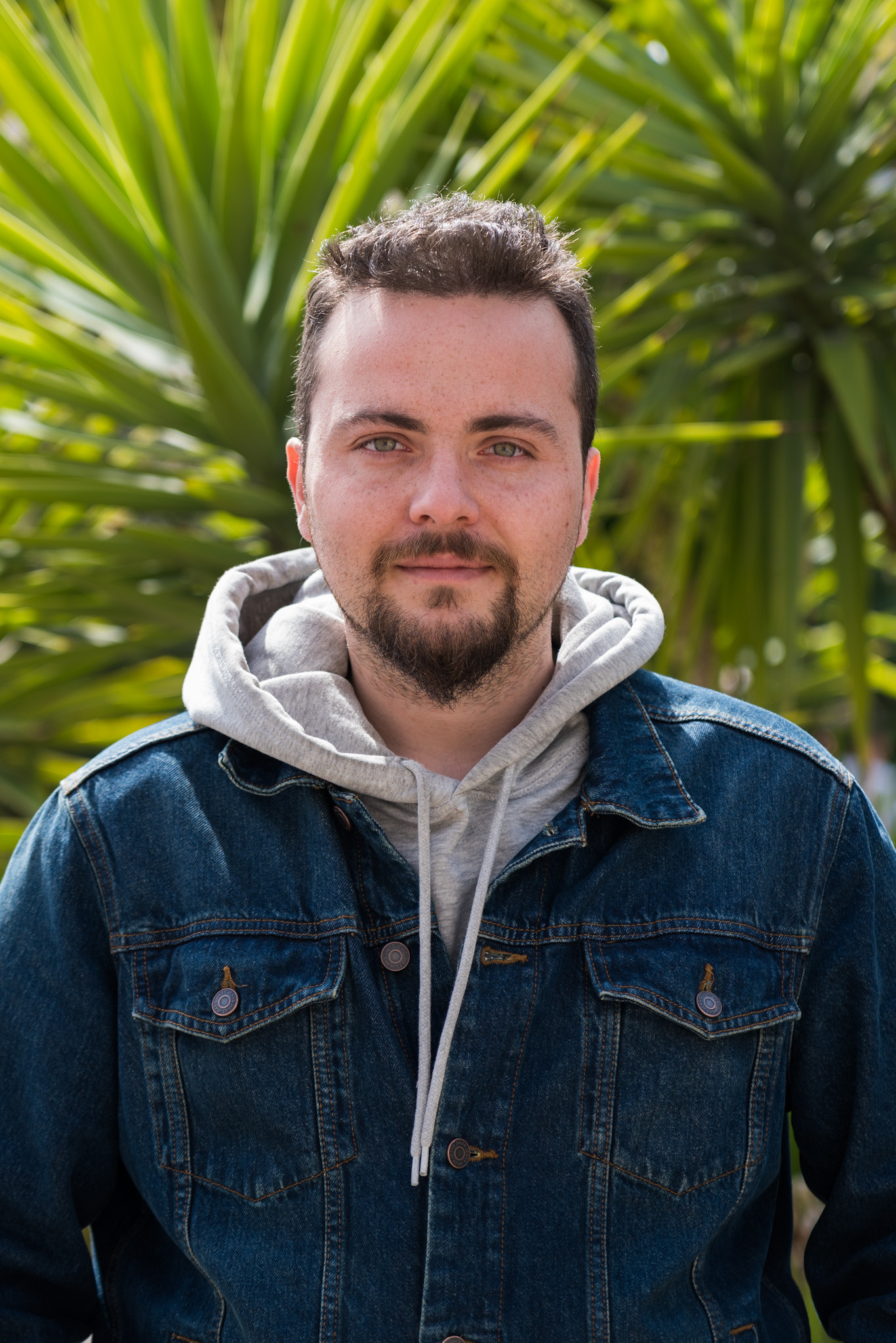 Alexandre Laugier backdrop